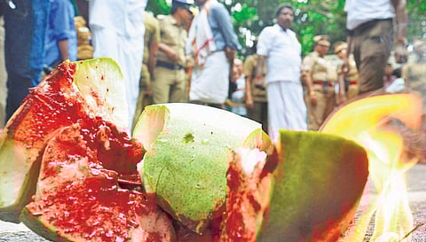 கேள்விகள், சிரிப்புகள், கவலைகள்﻿!