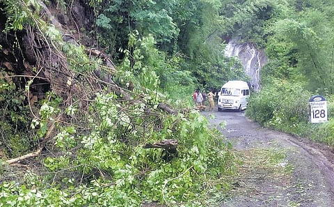 பழநி - கொடைக்கானல் சாலையில் 10 இடங்களில் மண் சரிவு﻿: பலத்த மழையால் பாறைகள் விழுந்து போக்குவரத்து துண்டிப்பு﻿