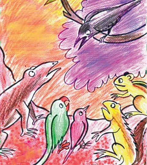 சித்திரக் கதை: காக்கை வைத்த மொய் விருந்து﻿