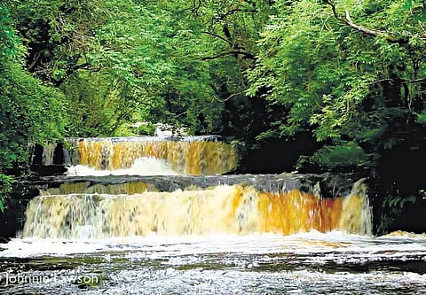 யூடியூப்பில் ஒரு காவிய வீடியோ﻿