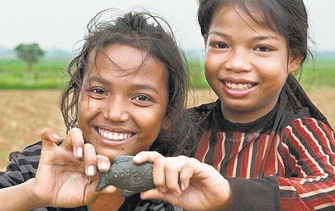 உலக மசாலா: இரும்பு மீன் சமையல்