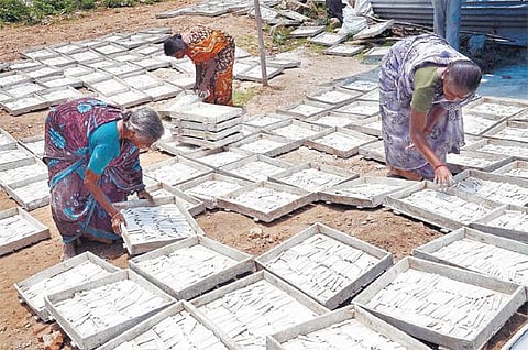 தமிழகத்தில் நசிந்து வரும் ‘சாக்பீஸ் உற்பத்தி’ தொழில்﻿: தேவை அதிகரித்தும் பலனில்லை