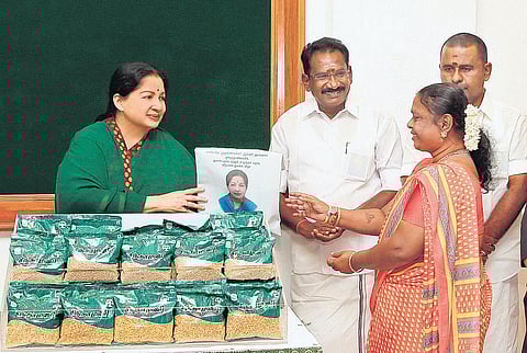 சென்னையில் திறக்கப்பட்ட அம்மா உணவகங்கள்﻿﻿