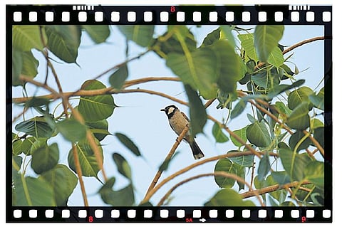 இது என் வீக்எண்ட்: எனக்கு மூன்று விதமான ‘வீக்எண்ட்’﻿