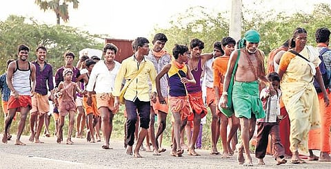 இன்று வைகாசி விசாகத் திருவிழா﻿: திருச்செந்தூரில் குவியும் பக்தர்கள்﻿