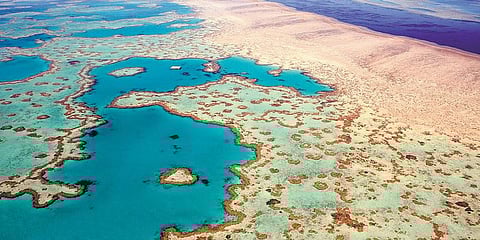 பூமியின் இதயம்