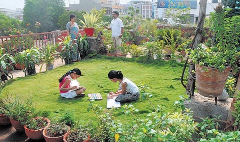 வாசகர் பக்கம்: வீட்டுக்குள் தோட்டம்﻿