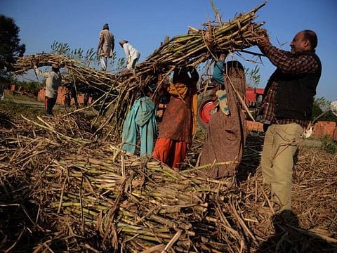 விவசாயிகளுக்கு நிலுவை தொகை: கரும்பு ஆலைகளுக்கு ரூ.6,000 கோடி வட்டி இல்லா கடன் வழங்குகிறது மத்திய அரசு