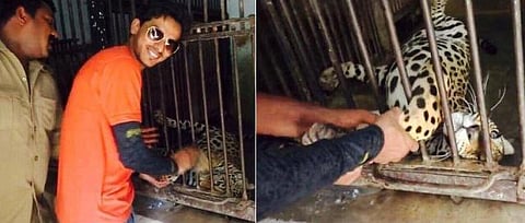 ஹைதராபாத்: சிறுத்தையை இம்சித்த இளைஞர் கைது