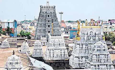 பார்த்தசாரதி தரிசனம்﻿