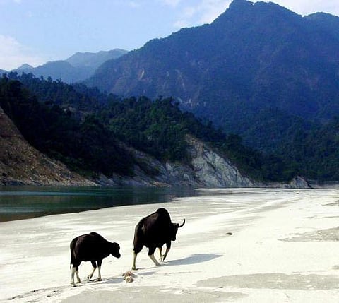 அருணாச்சல பிரதேசத்தில் 2 பெரிய அணைக்கட்டுகள்: சமூகநல அமைப்பு கடும் எதிர்ப்பு