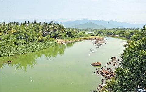 ஒரு நதியின் வாக்குமூலம்: ஆற்றின் அழிவுக்கு மவுன சாட்சியாக இருக்கிறோம்!﻿