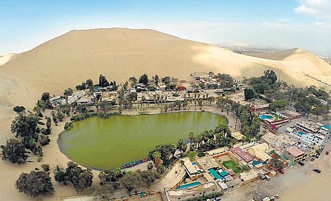 பாலைவனத்தில் பூத்துக் குலுங்கும் கிராமம்!﻿