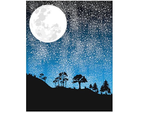 ஓஷோ சொன்ன கதை ; செர்ரி மரமும் பனி படர்ந்த நிலவும்﻿