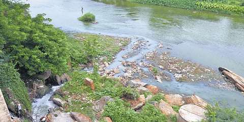 ஒரு நதியின் வாக்குமூலம்: பழம்பெருமையாகிவிட்ட கீழ் பவானி பாசனம்﻿