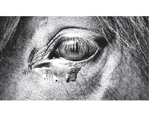 சினிமா ரசனை 3: முப்பதே ஷாட்களில் ஒரு திரைப்படம்!﻿