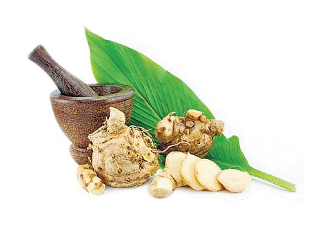 திட்டமிட்டுச் சாப்பிட்டால் அஜீரணம் ஓடிப்போகும்﻿!