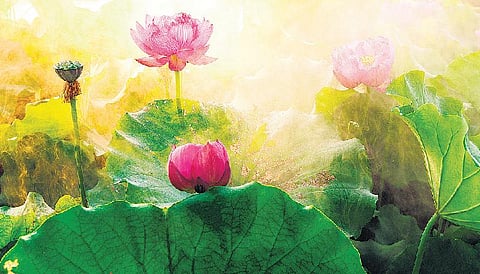 தத்துவ விசாரம்: மனம் இறத்தல்﻿