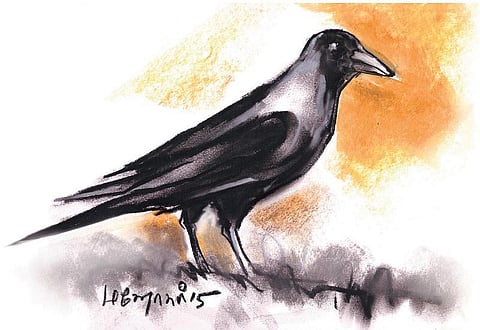 மனுசங்க.. 9: காக்கை ரகசியம்