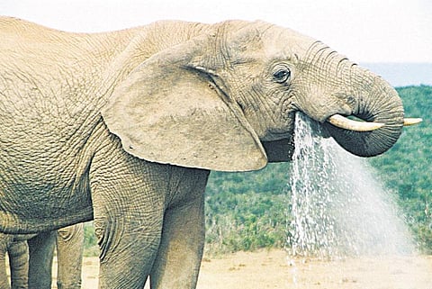 நம்ப முடிகிறதா?