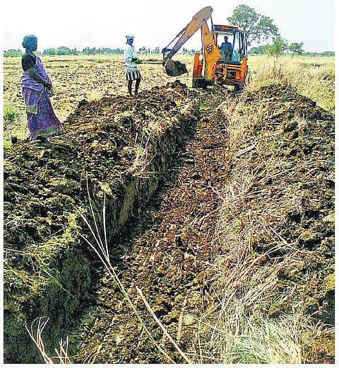 காட்டுமன்னார்கோவிலில் பாசன வாய்க்காலை சொந்த செலவில் தூர்வாரும் விவசாயிகள்﻿