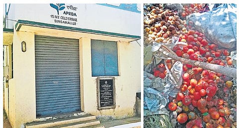 சிங்காநல்லூர் உழவர் சந்தையில்﻿ முதல்வரால் திறக்கப்பட்டு காட்சிப் பொருளான குளிர்பதனக் கிடங்கு﻿