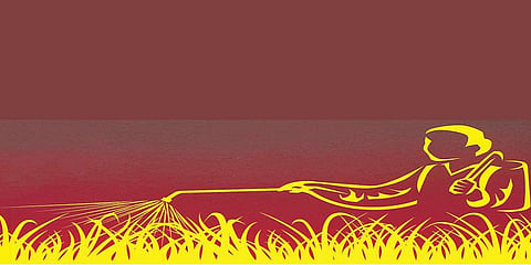 பூச்சிக்கொல்லிகளால் விவசாயிகள் சந்திக்கும் ஆபத்துகள்﻿