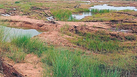 பாலாறு படுகொலை!﻿