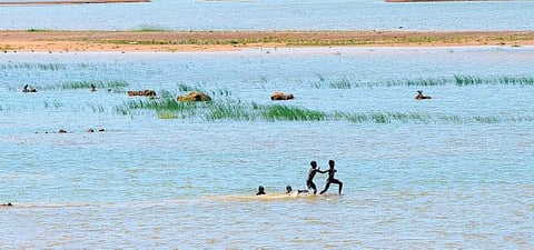 15 ஆண்டுகளில் இல்லாத அளவுக்கு﻿ கடும் குடிநீர் தட்டுப்பாட்டை எதிர்நோக்கும் சென்னை﻿ மாநகரம்: மக்களின் தேவையை எப்படி சமாளிக்கப் போகிறது குடிநீர் வாரியம்?﻿