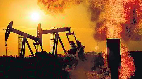 உலகைக் காப்போம், வாருங்கள்!- இயற்கையைக் காக்க ஓர் இதழியல் குரல்﻿