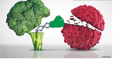 புற்றுநோய்: எதைச் சாப்பிடலாம்? எதைச் சாப்பிடக் கூடாது?﻿