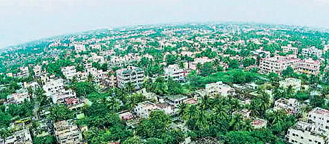 மர ஆணையம் உருவாக்க வேண்டும்﻿