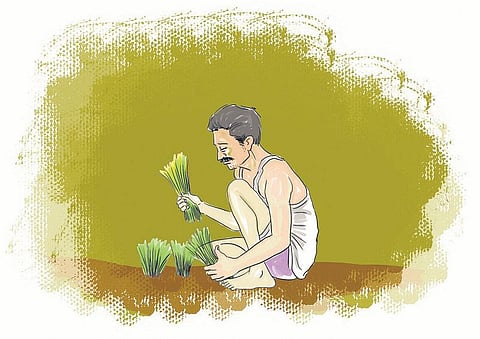 ஏரின்றி அமையாது உலகு: உயிர்ம வேளாண்மைக்கு ஊட்டம் தர ஒரு கொள்கை﻿