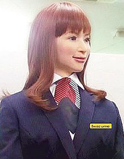 ரோபோ ஓட்டல்