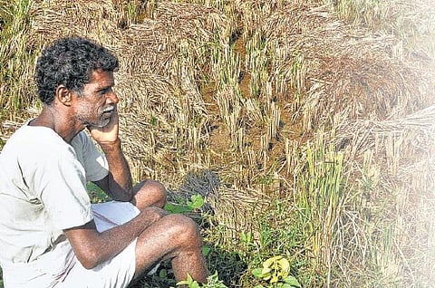 எதிர்க்கட்சிகள், விவசாயிகளின் கடும் எதிர்ப்பால்﻿ நிலம் கையகப்படுத்தும் அவசர சட்டத்தை 4-வது முறை கொண்டுவர மத்திய அரசு திட்டம்﻿