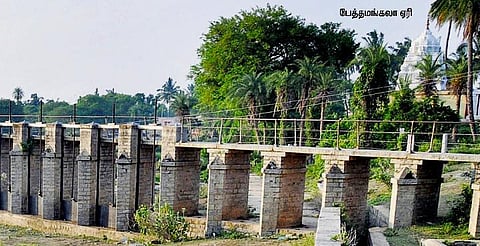 பாலாறால் செழித்த கோலார்﻿