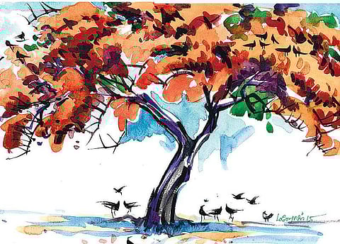 மனுசங்க.. 12: மைனா சொற்கள்!