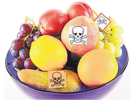 காய்கறிகள், ஜாக்கிரதை!﻿