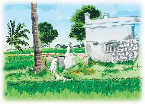 ஏரின்றி அமையாது உலகு: ஏமாற்றும் விளைச்சல் கணக்கு﻿