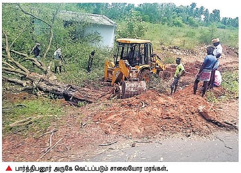 மதுரை - ராமநாதபுரம் நான்குவழிச் சாலை திட்டத்துக்காக﻿ 10 நாட்களில் 2500 மரங்கள் வெட்டி சாய்ப்பு﻿