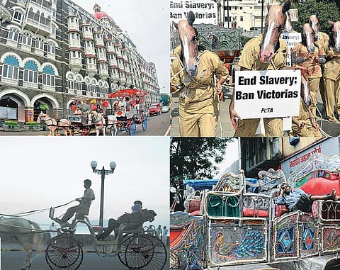 பார்த்துப் படிக்க ஒரு படக்கதை - விக்டோரியாவின் கடைசிப் பயணம்