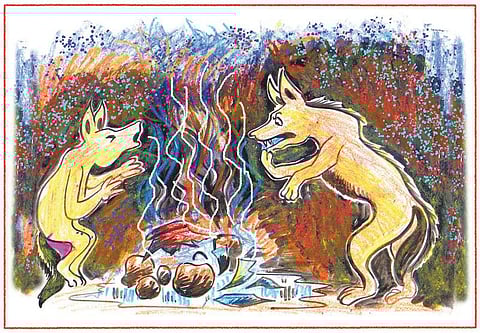 நாட்டுப்புறக் கதை: சிவியைக் கடத்திய மிசாக்கி﻿