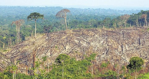 வளர்ச்சியின் பெயரால்...﻿