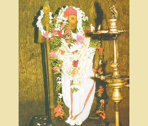 சேவலைப் பிடித்திருக்கும் செங்கோட்டு வேலன்﻿