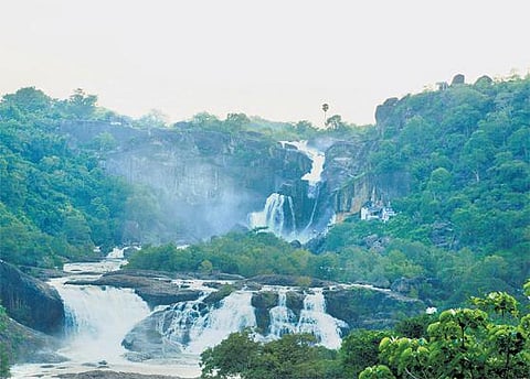 குறிஞ்சி, முல்லையிலிருந்து மருதம் பாயும் தாமிரபரணி﻿