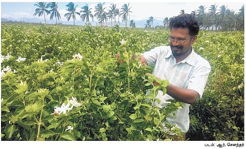 மீன் கழிவிலிருந்து பூச்சிவிரட்டி, பழக் கழிவிலிருந்து இயற்கை உரம்﻿