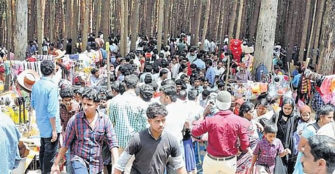 சுதந்திர தின விடுமுறையால் கொடைக்கானலில் நெரிசல்﻿: கோடை சீசனை மிஞ்சிய சுற்றுலாப் பயணிகள் கூட்டம்﻿