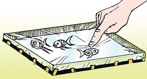 நீங்களே செய்யலாம்: துள்ளிக் குதிக்கும் மீன்கள்﻿