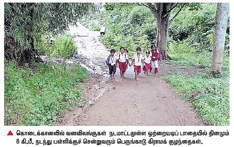 வனவிலங்குகள் நடமாட்டம் மிகுந்த காட்டுப் பாதையில்  8 கி.மீ. நடந்து சென்று படிக்கும் குழந்தைகள்﻿