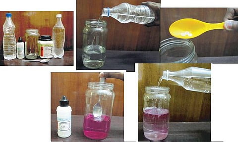 அடடே அறிவியல்: காரமும் கீரையும்﻿